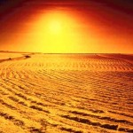 desert1_OPT